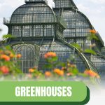 Large greenhouse with text: Greenhouses Their Roman Roots