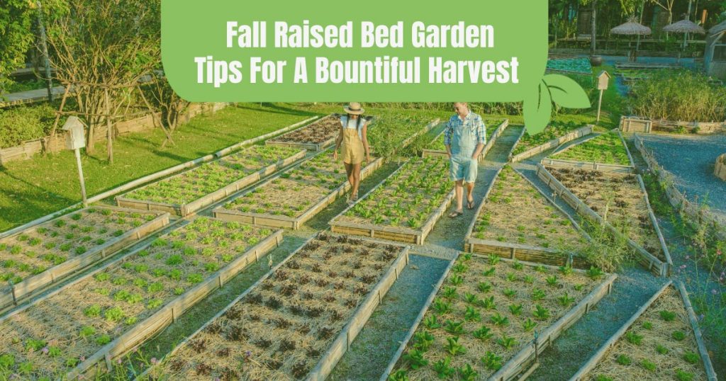 fall raised bed garden