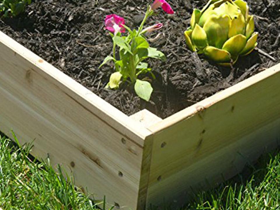 filling a raised bed