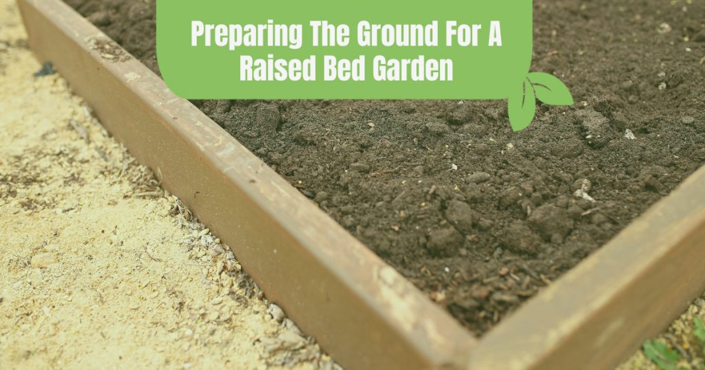 preparing the ground for a raised bed garden