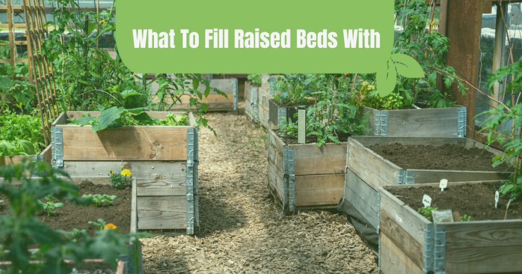 what to fill raised beds with