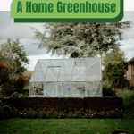 Greenhouse in backyard with text: A Home Greenhouse The Hidden Benefits