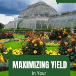 Large commercial greenhouse with flower garden with text: Maximizing Yield In Your Commercial Greenhouse