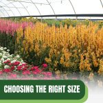 Flowers inside greenhouse with text: Choosing The Right Size for Your Commercial Greenhouse