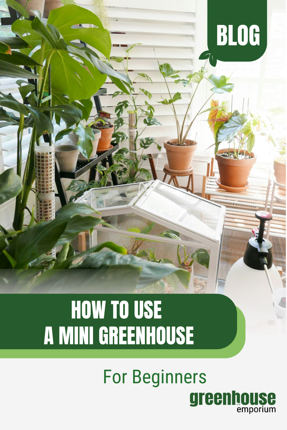 Mini greenhouse on shelf with pots with text: How to Use a Mini Greenhouse for Beginners