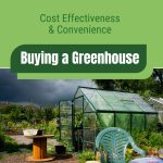 Greenhouse with text: Cost Effectiveness & Convenience