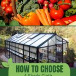 Veggies and greenhouse with text: How to Choose a Shade Cloth for Vegetables