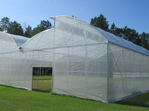 Greenhouse structure covered with white knitted shade cloth
