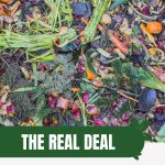 Composting vegetables with text: The Real Deal About Compost Only Gardening