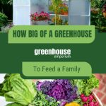 Greenhouse and harvest basket with text: How Big Of A Greenhouse To Feed A Family