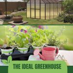 Greenhouse with vegetables and herbs in containers with text: The Ideal Greenhouse for Family Self-Sufficiency