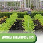 Garden with greenhouse in the background with text: Summer Greenhouse Tips for Every Gardener