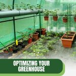 Greenhouse with plants in pots and on hanging rods with text: Optimizing Your Greenhouse for the Summer Heat