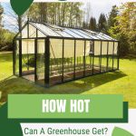 Greenhouse in a yard with text: How Hot Can a Greenhouse Get?