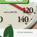 Close view of a thermometer showing high temperature with text: Managing Heat in Your Greenhouse