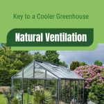 Greenhouse in yard with vents open with text: Key to a Cooler Greenhouse Natural Ventilation