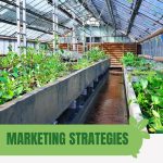 Greenhouse with raised beds and text: Marketing Strategies for Greenhouse Businesses