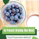 Freeze dried blueberries with text: Is Freeze Drying the Best Food Preservation Method?