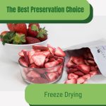 Freeze dried strawberries with text: The Best Preservation Choice Freeze Drying