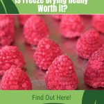 Freeze dried raspberries with text: Is Freeze Drying Really Worth It? Find Out Here!