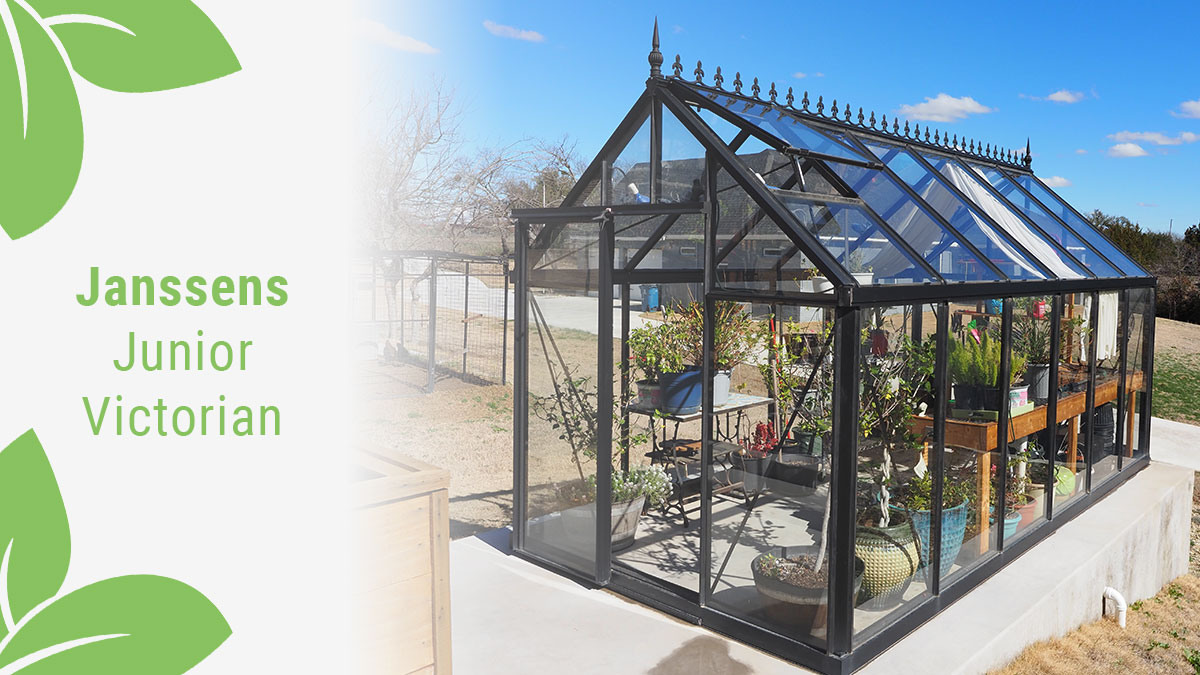 A Janssens Victorian Glass Greenhouse on a concrete pad in the sun