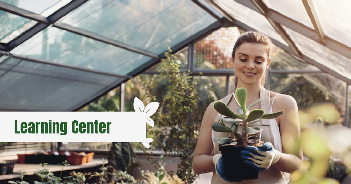 Smiling woman holding plant in greenhouse with the text: Learning Center