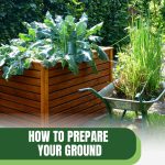 Raised bed with kale and wheelbarrow next to it with text: How to Prepare Your Ground for a Raised Bed Garden