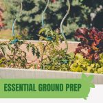 Raised bed with vegetables and plant stakes with text: Essential Ground Prep for a Raised Bed Garden