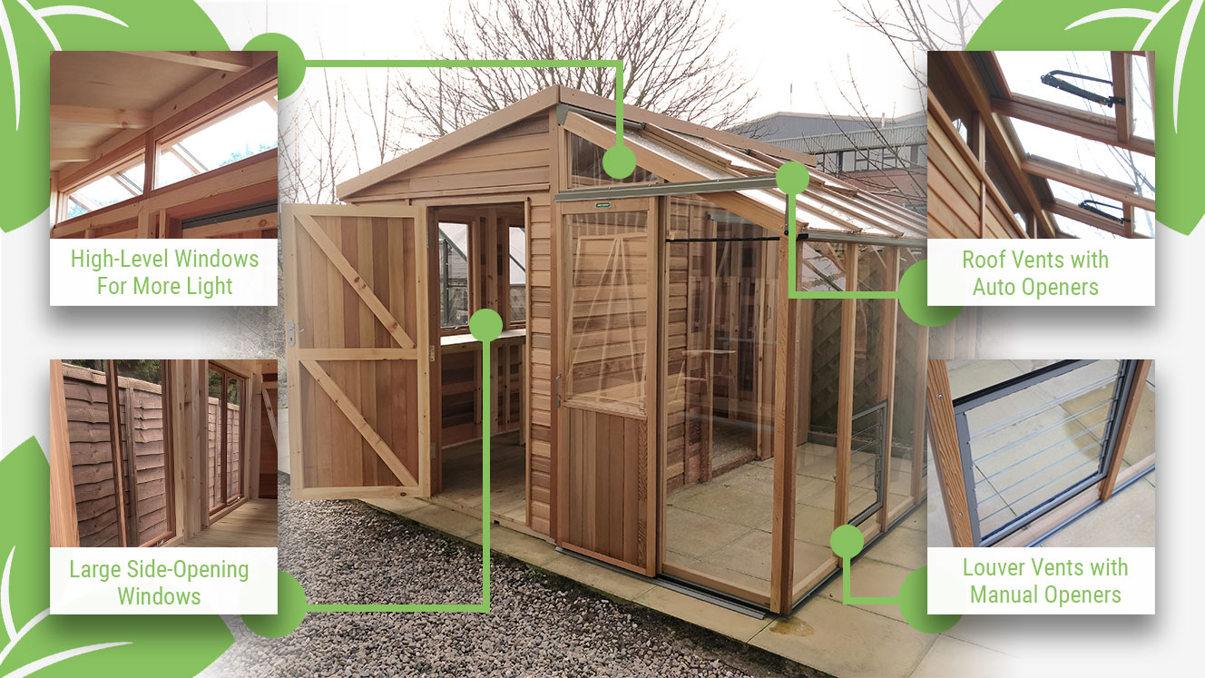 Featured image showcasing the different windows in the Alton Fusion Greenhouse Shed Hybrid, such as roof vents, louvered vents, high-level windows, and large side-opening windows