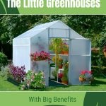 Greenhouse with plants in interior with text: The Little Greenhouses with Big Benefits