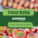 Freeze dried tomatoes and canned tomatoes with text: Freeze Drying vs Other Preservation Methods