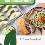 Freeze dried avocadoes and chips with guacamole with text: The Ultimate Guide to Freeze Drying Food