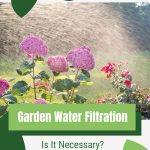 Flowers with water spray and text: Garden Water Filtration Is It Necessary?