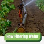 Watering system with text: How Filtering Water Affects Your Garden