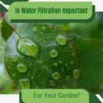 Leaf with water drops and text: Is Water Filtration Important For Your Garden?