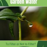 Droplet of water on plant with text: Garden Water To Filter or Not to Filter?