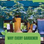 Plants growing on bench with text: Why Every Gardener Needs a Greenhouse