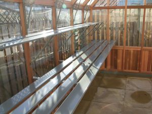 Slatted Shelving in an Alton Cedar Greenhouse