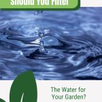 Water droplet and ripples on water surface with text: Should You Filter the Water for Your Garden?