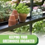 Plants and pots on a shelf with text: Keeping Your Greenhouse Organized Tips and Tricks