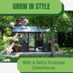 Janssens Retro Victorian greenhouse with door open in dappled sunlit area