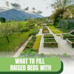 Raised beds with walking paths with text: What to Fille Raised Beds with A Complete Guide