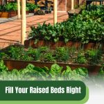 Raised beds filled with lush plants with text: Fill Your Raised Beds Right Soil, Compost, Wood and More