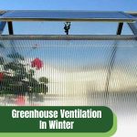 Open greenhouse roof vent with text: Greenhouse Ventilation in Winter Do's and Don'ts