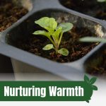 Seeding in tray with text: Nurturing Warmth Heat Mats for Greenhouse Gardening