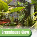 Light bulb over tropical plants with text: Greenhouse Glow Achieving Plant Growth with T5 bulbs