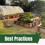 Greenhouse and raised beds with text: Best Practices for Fall Raised Bed Gardening