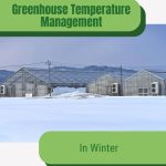 Large greenhouses in snow with text: Greenhouse Temperature Management in Winter