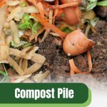 Vegetable scraps and egg shells with text: Compost Pile Nature's Heater