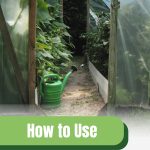 Plants inside cold frame with text: How to Use A Cold Frame